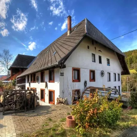 Schwarzwaldhaus Krebs - Villa Kunterbunt, Lenzkirch, Feldberg Exterior photo
