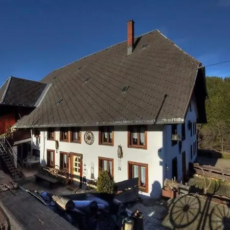 Schwarzwaldhaus Krebs - Villa Kunterbunt, Lenzkirch, Feldberg Exterior photo