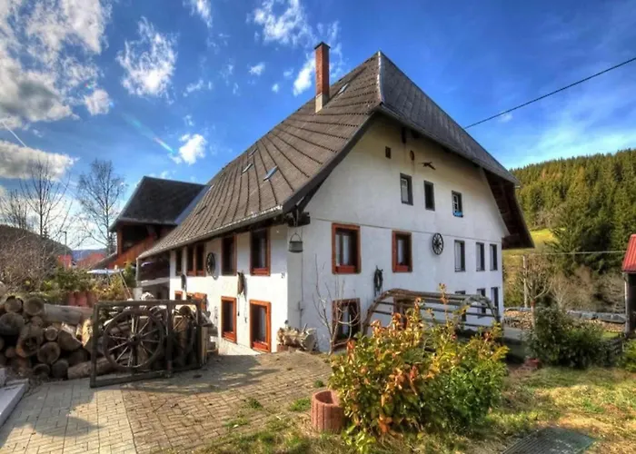 Schwarzwaldhaus Krebs - Villa Kunterbunt, Lenzkirch, Feldberg