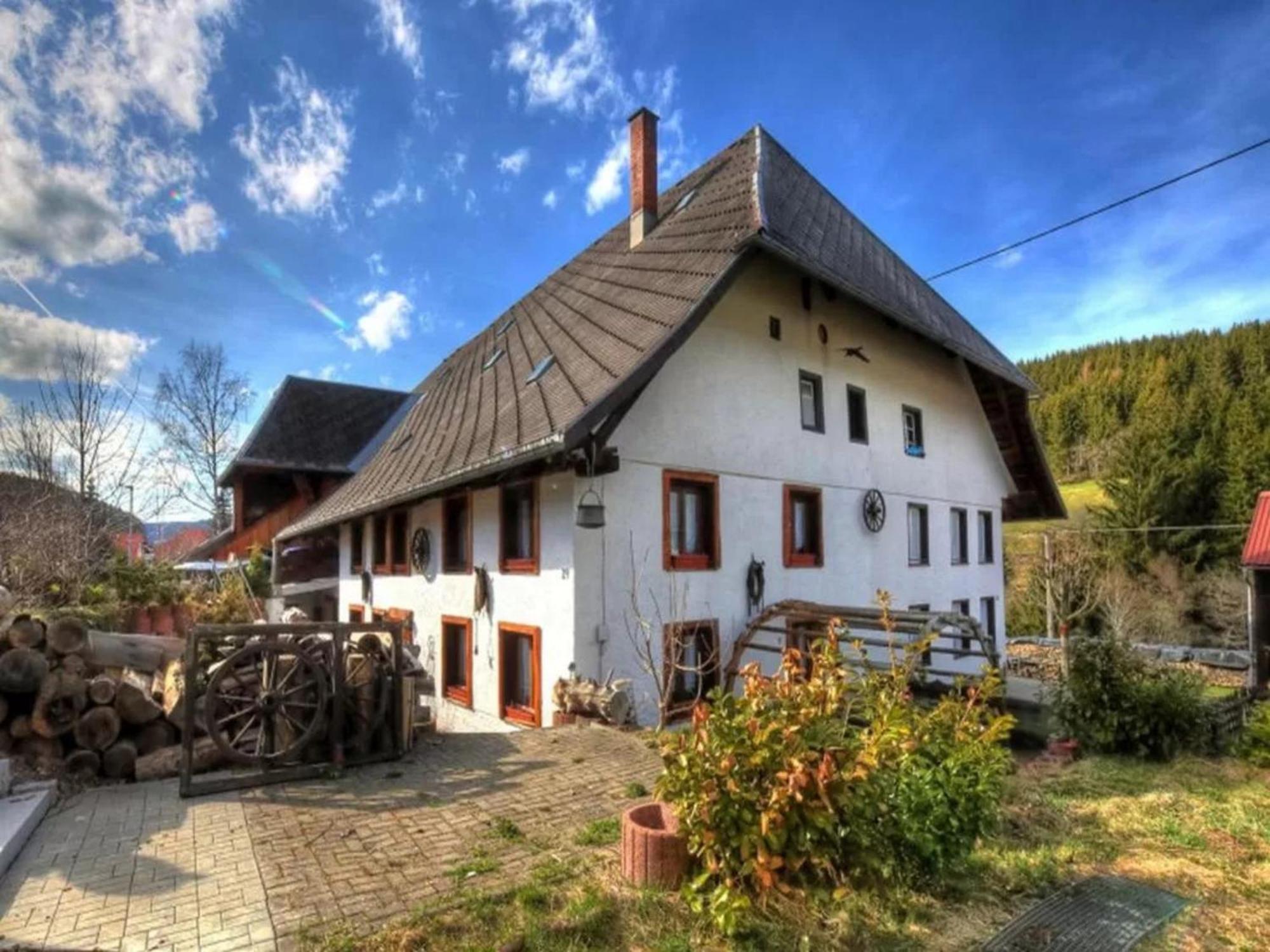 Schwarzwaldhaus Krebs - Kunterbunt, Lenzkirch, Feldberg Ferienhaus *