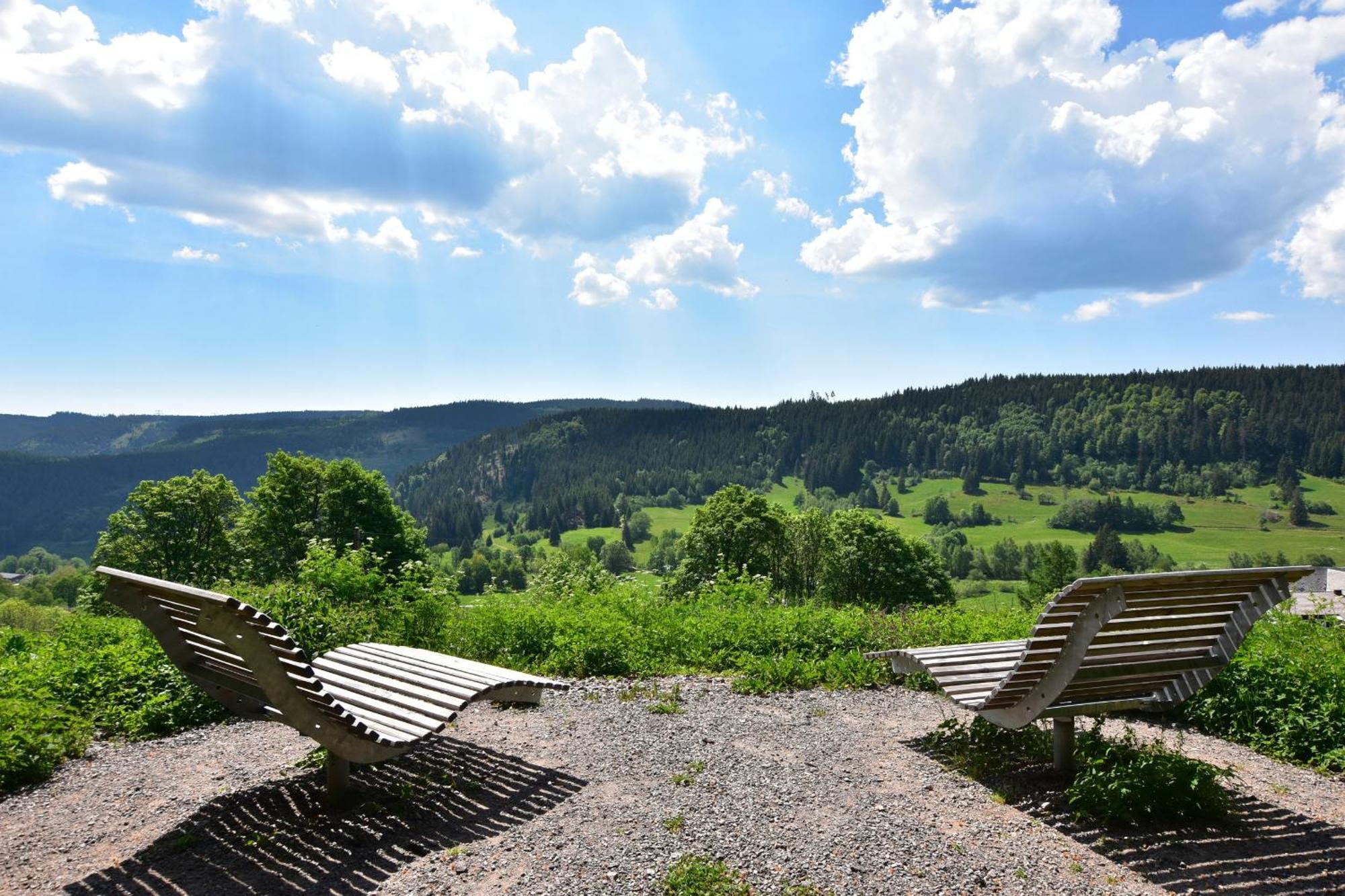 Schwarzwaldhaus Krebs - Kunterbunt, Lenzkirch, Feldberg Ferienhaus Lenzkirch
